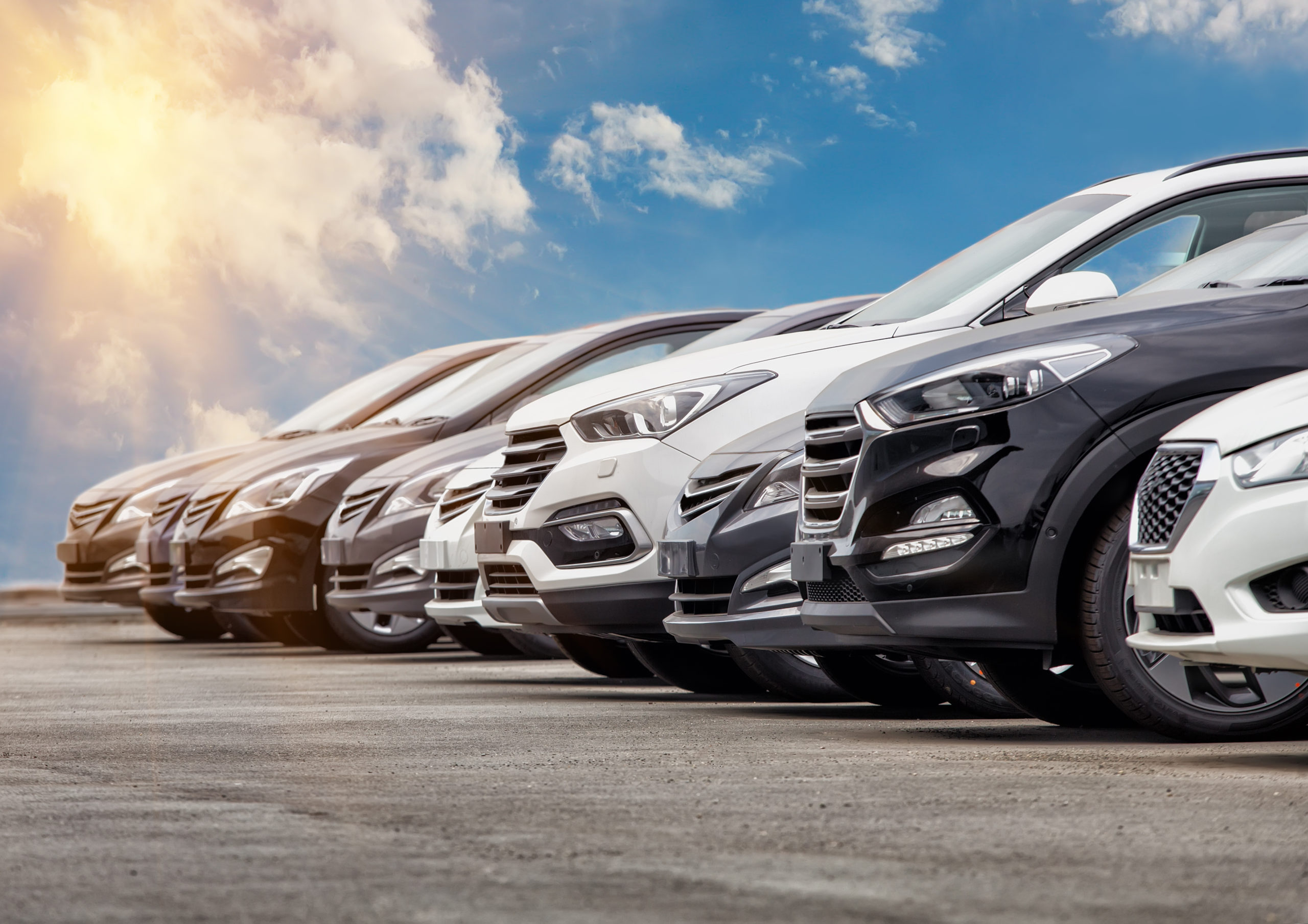 Owners in Automotive Industry